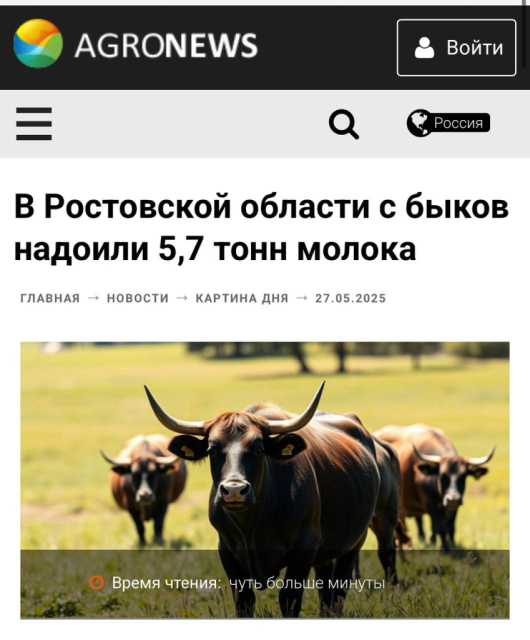 bafkreigonhrcuftj46ztvztsxjctuqkrksdefwxclgpj2nfg7ladk7negi.jpg