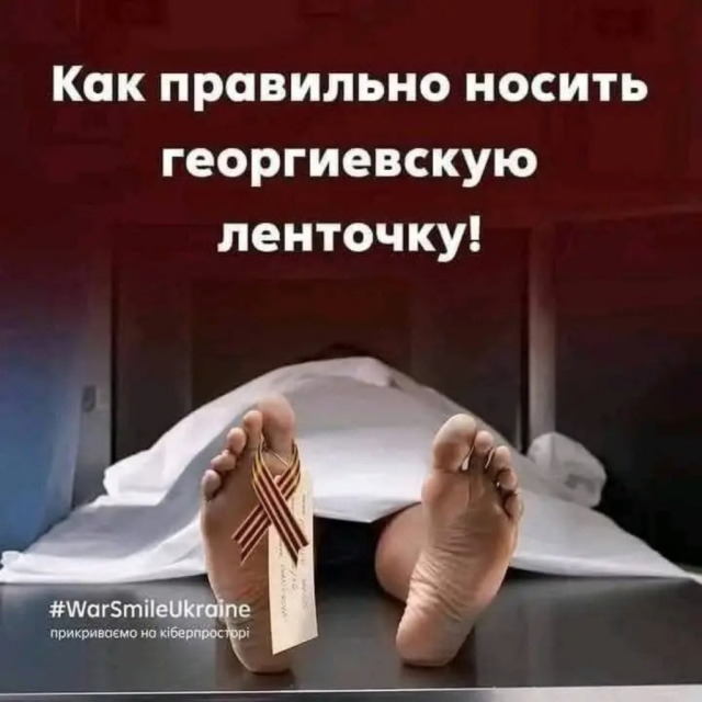 bafkreifnkzviryfsr6h6for757d4w4dktb724l3fqhbbgzafmfw2slto6u.jpg