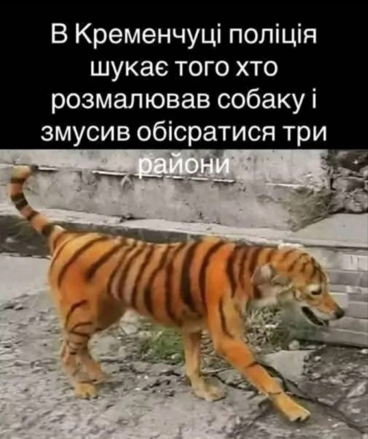 bafkreietlcgrmvvztsm6z5wvh2oz5k4lkfbuf6uj7cg4onkyobisoex55a.jpg