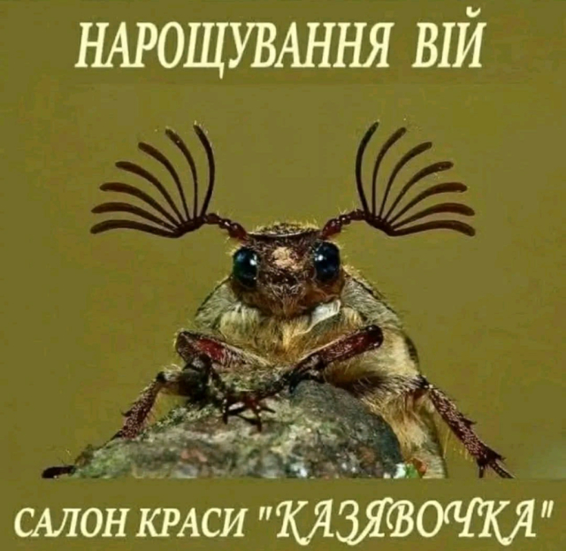 bafkreig22opypk7exklvh6j6a3woo33jfzouoo7f5u3ym4qqcmchc2kona.jpg