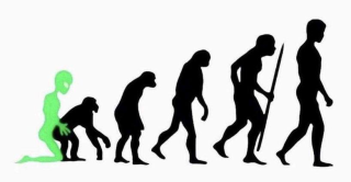 photo/3798a319-ae83-4301-9319-2aba37d6b7e5-3