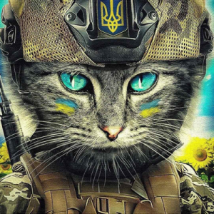 Andrii Petrenko 🇺🇦 🇺🇲