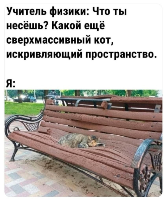 2336421.jpg