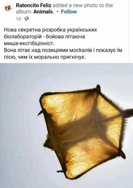 bafkreih3olpmvohqclhuijoyj37uhpxihijatzkmevjglqatekdnsur4cm.jpg