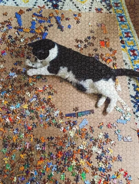 2429180.jpg