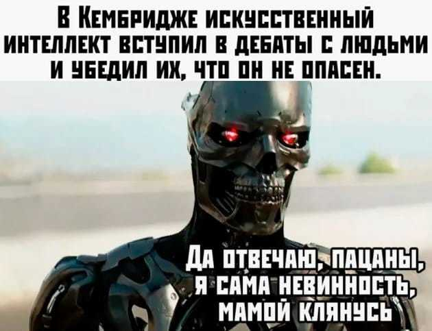 2345228.jpg
