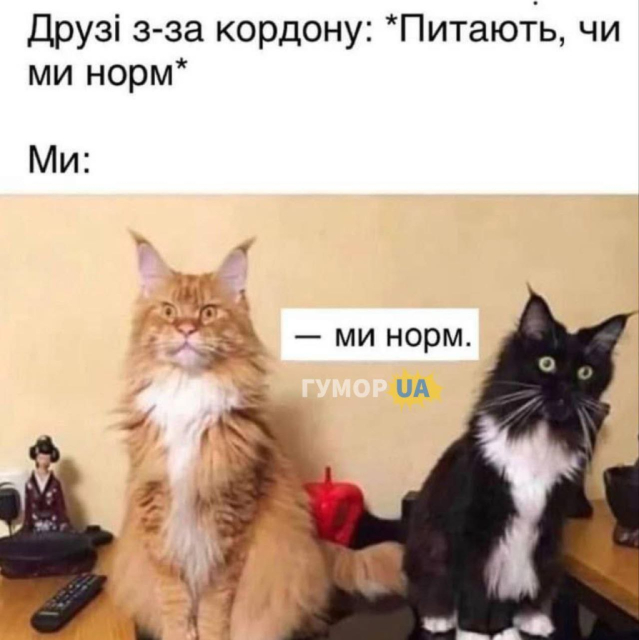 48488.jpg 48488.jpg