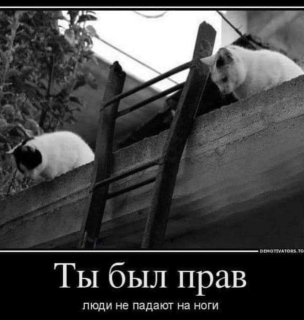photo/c8233dd3-a0de-4ece-8375-d0403c9e6bc8-3